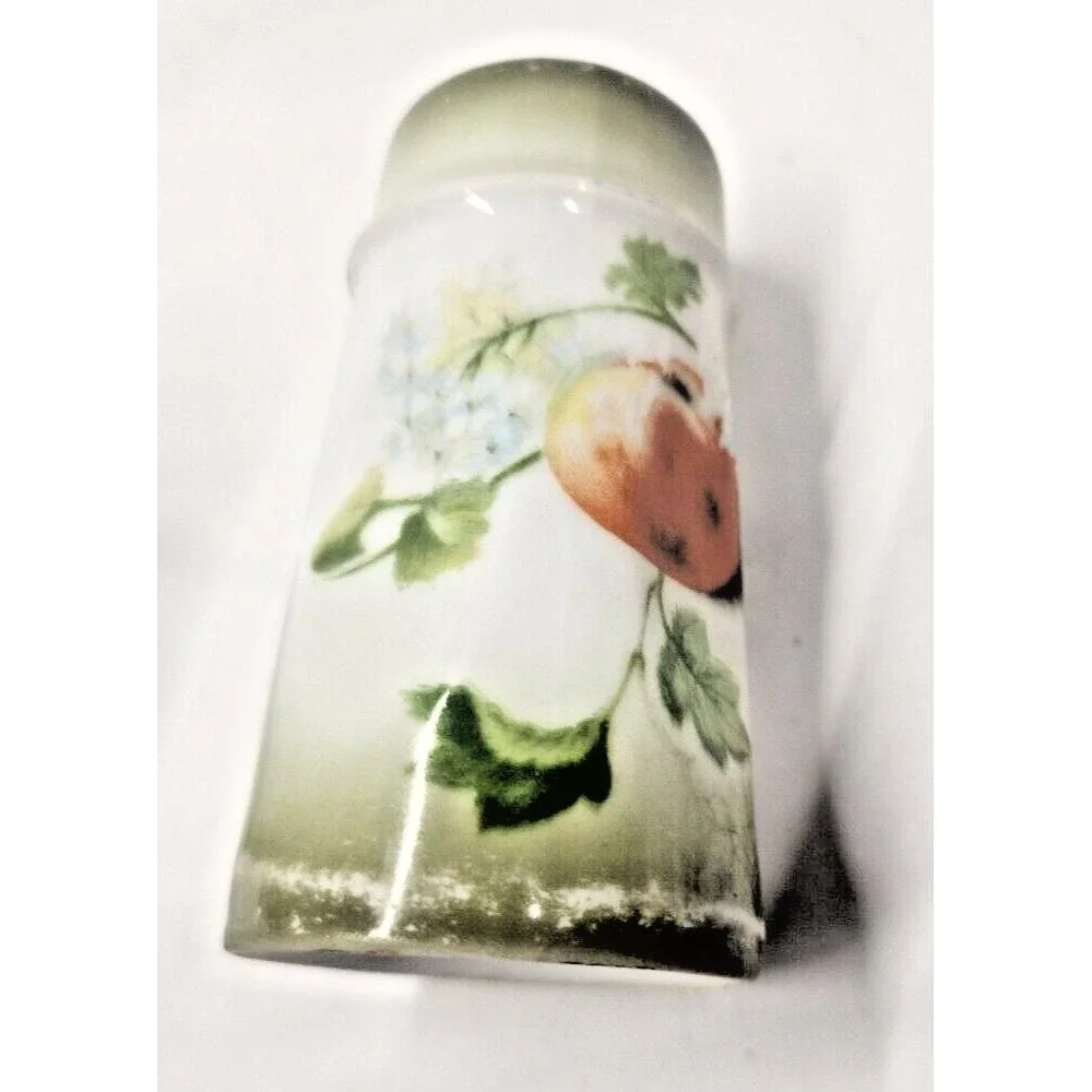 Vintage Favorite Bavaria porcelain‎ Hand Painted signed Salt and Pepper Shakers